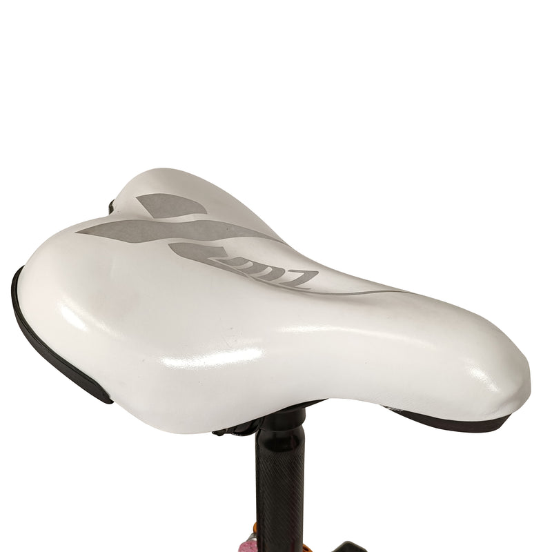 Cargue la imagen en el visor de la galería, Bicicleta Infantil de 16 Pulgadas BWDWL-PINK Color rosa - BWDWL-PINK