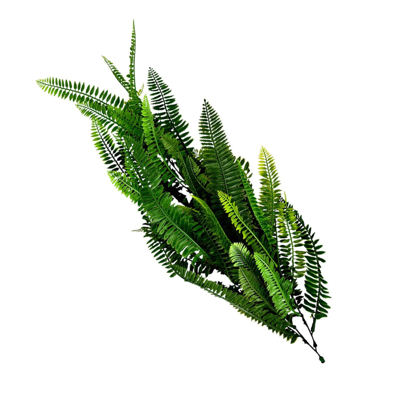 Cargue la imagen en el visor de la galería, Follaje Decorativo De Rama para exterior y interior SILVERY SPLEENWORT-CCGT010