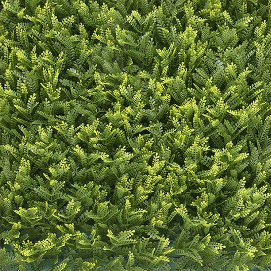 Follaje Decorativo Sintetico para exterior y interior Sintetico MIMOSA- CCGA030