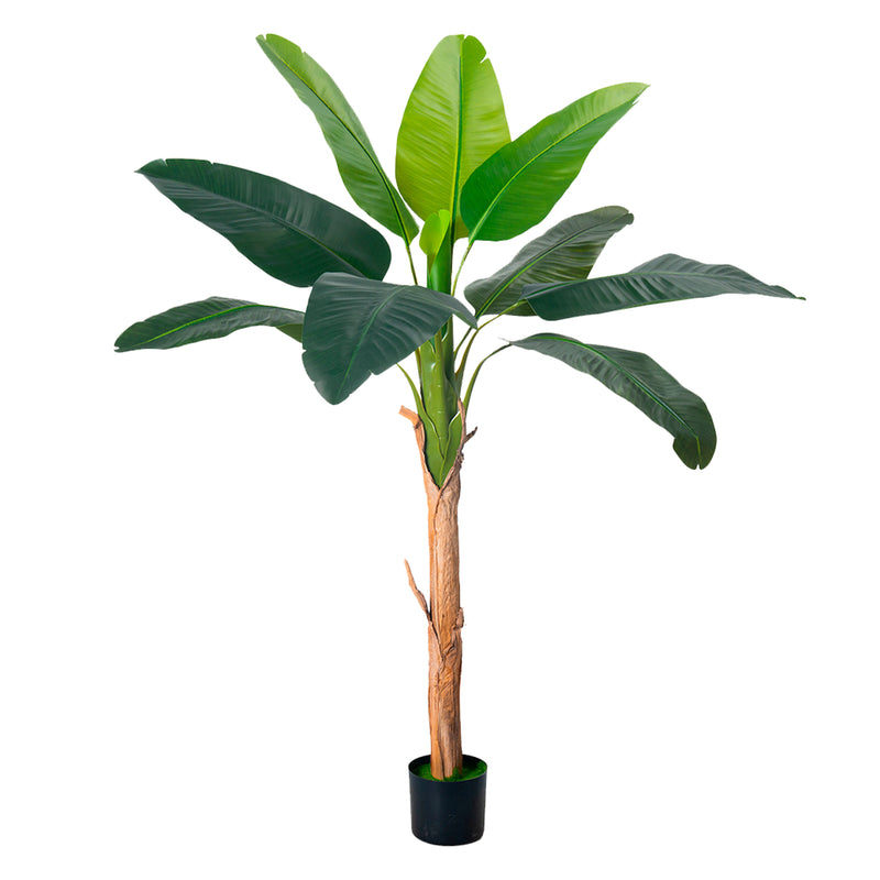 Cargue la imagen en el visor de la galería, Planta Decorativa Artificial para Exterior y Interior con 1.7m Alto, PLATANO - 201015-170