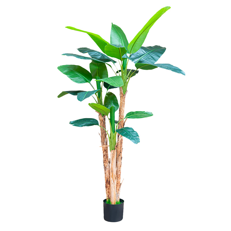Cargue la imagen en el visor de la galería, Planta Decorativa Artificial para Exterior y Interior con 2.5m Alto, PLATANO - 201015-250