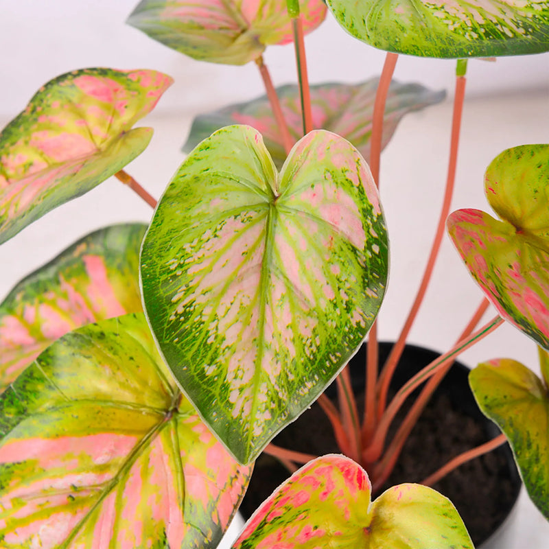 Cargue la imagen en el visor de la galería, Planta Decorativa Artificial para Exterior e Interior con 40cm Alto, TARO GREEN -202814-TARO CasaEaster