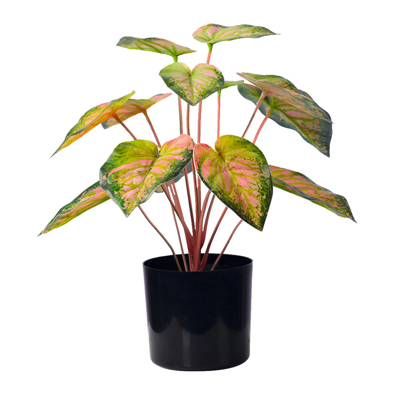 Cargue la imagen en el visor de la galería, Planta Decorativa Artificial para Exterior e Interior con 40cm Alto, TARO GREEN -202814-TARO CasaEaster