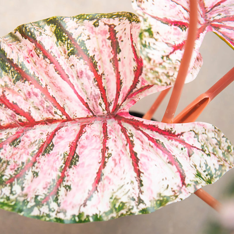 Cargue la imagen en el visor de la galería, Planta Decorativa Artificial para Exterior y Interior con 1.10m Alto, PINK TARO -200003-PIN CasaEaster