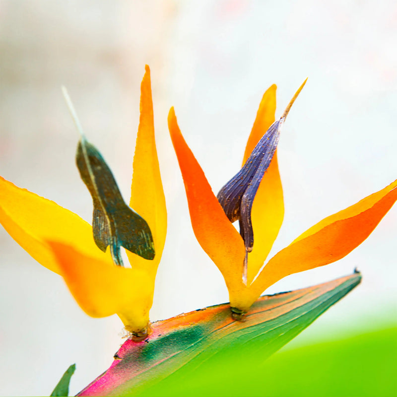 Cargue la imagen en el visor de la galería, Planta Decorativa Artificial para Exterior y Interior con 1.20m Alto,BIRD OF PARADISE 201017-BIR CasaEaster