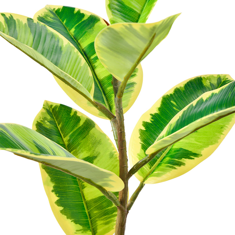 Cargue la imagen en el visor de la galería, Planta Decorativa Artificial para Exterior y Interior con 2m Alto, RUBBER TREE YELLOW - RUBBER