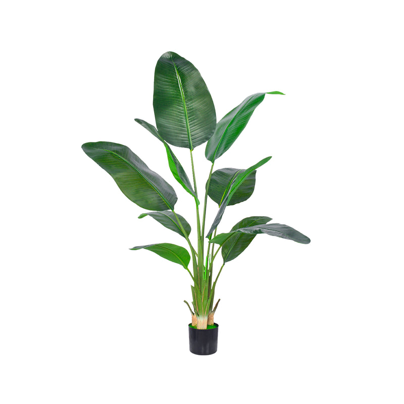 Cargue la imagen en el visor de la galería, Set Individual Confort TG0025 café + mesa bistro Noga negro + Traveller Palm 1.8