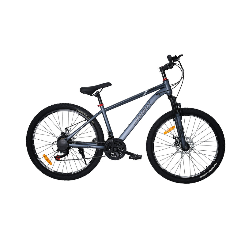 Cargue la imagen en el visor de la galería, Bicicleta YYG de 26" color Gris - YYG26GREY