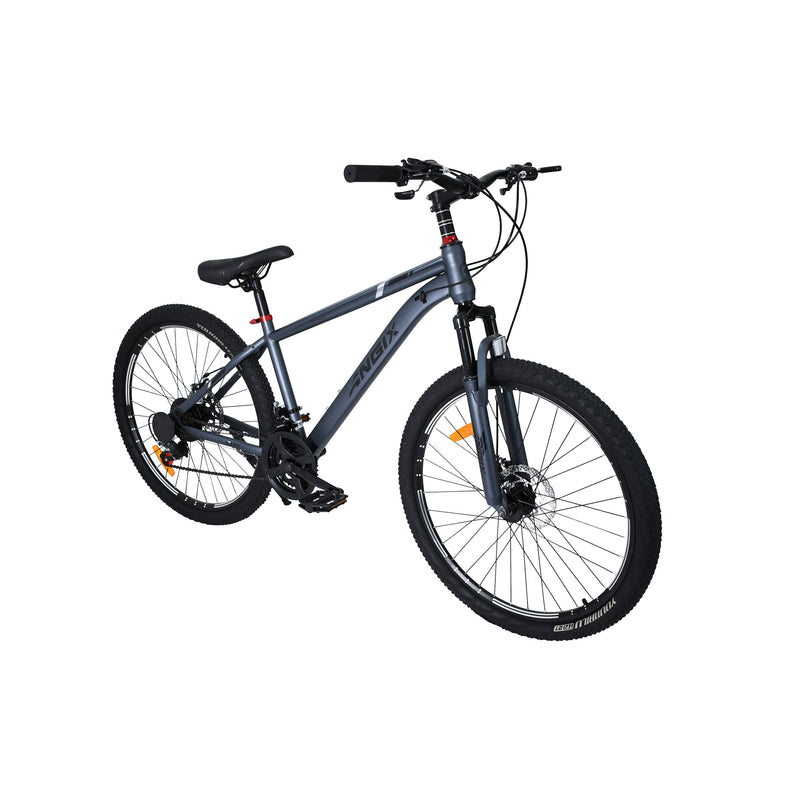 Cargue la imagen en el visor de la galería, Bicicleta YYG de 26" color Gris - YYG26GREY