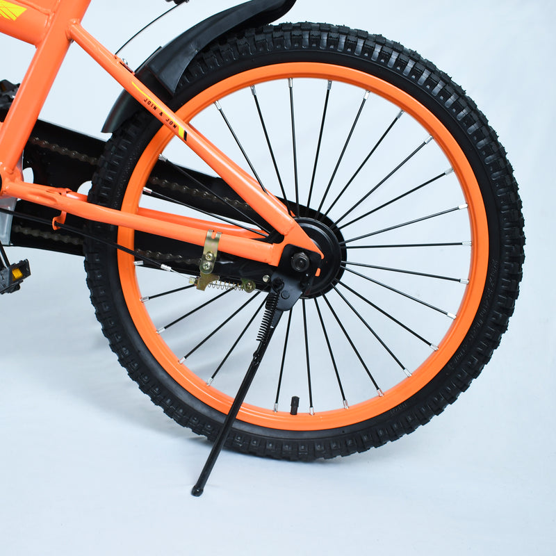 Cargue la imagen en el visor de la galería, Bicicleta de 20&quot; FN16B12 color Naranja - FN16B1220-NA

