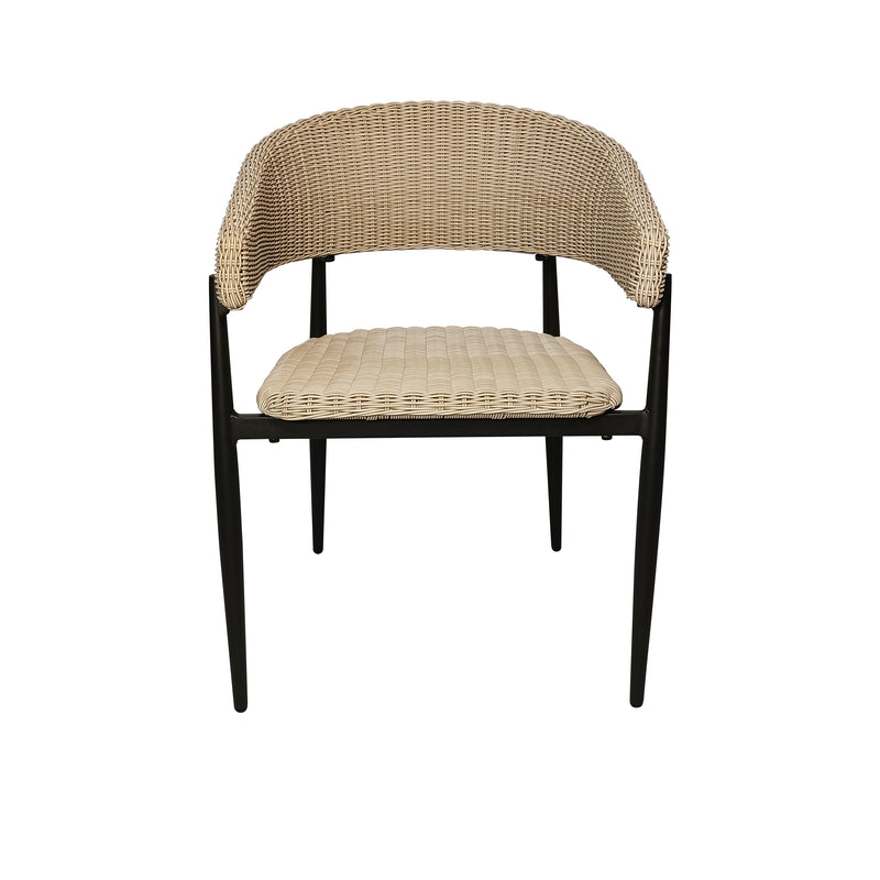 Cargue la imagen en el visor de la galería, Silla de interior y exterior de Rattan color Negro HILTON- GLA-6313410KD-BLK
