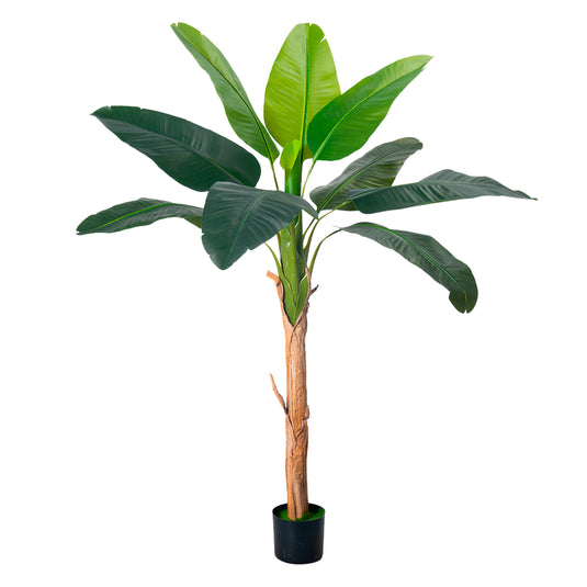Planta Decorativa Artificial para Exterior y Interior con 1.7m Alto, PLATANO - 201015-170