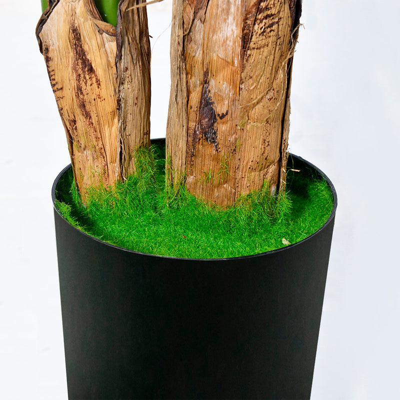 Cargue la imagen en el visor de la galería, Planta Decorativa Artificial para Exterior y Interior con 2.5m Alto, PLATANO - 201015-250
