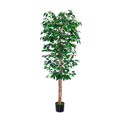 Planta Decorativa Artificial para Exterior y Interior con 1.60m Alto, FICUS TREE -201060-FI CasaEaster