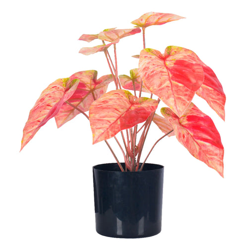 Planta Decorativa Artificial para Exterior y Interior con 40cm Alto, PINK TARO -201030-TAR CasaEaster