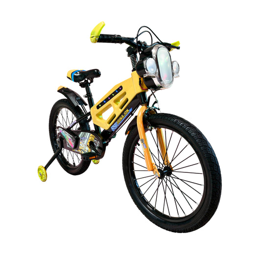 Bicicleta de 20