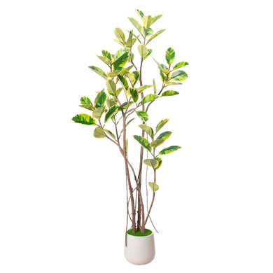 Planta Decorativa Artificial para Exterior y Interior con 2m Alto, RUBBER TREE YELLOW - RUBBER