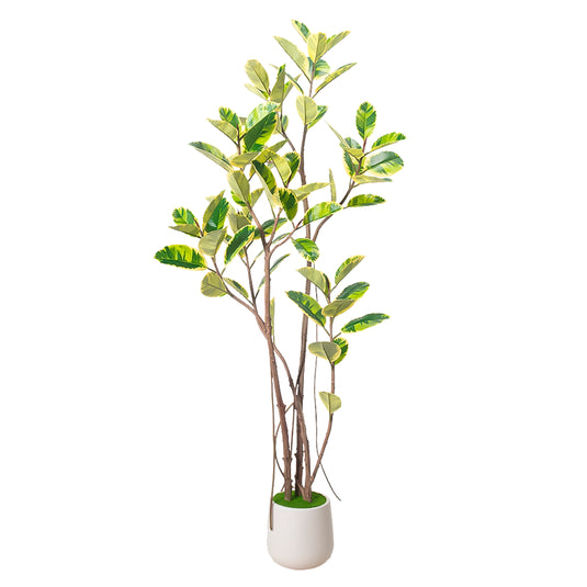 Planta Decorativa Artificial para Exterior y Interior con 2m Alto, RUBBER TREE YELLOW - RUBBER