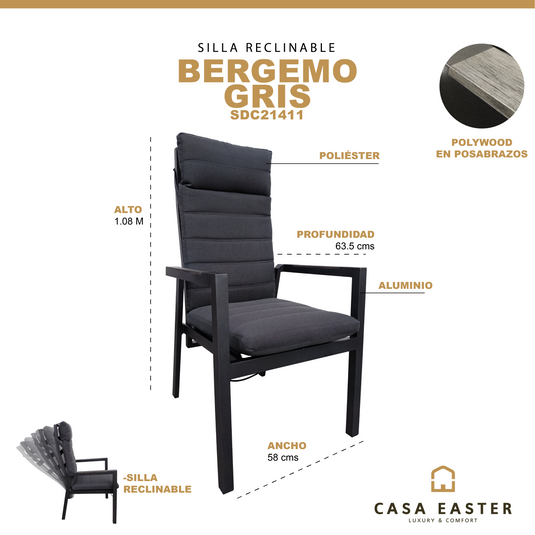 Silla Bergemo color Carbon - SDC21411